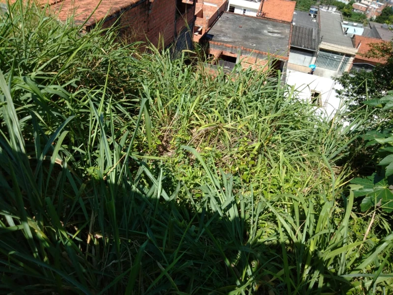 Casa em Perus — foto 19
